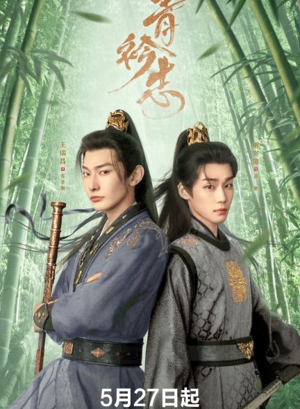 سریال چینی تغییر صدر اعظم A Prime Minister’s Disguise 2025