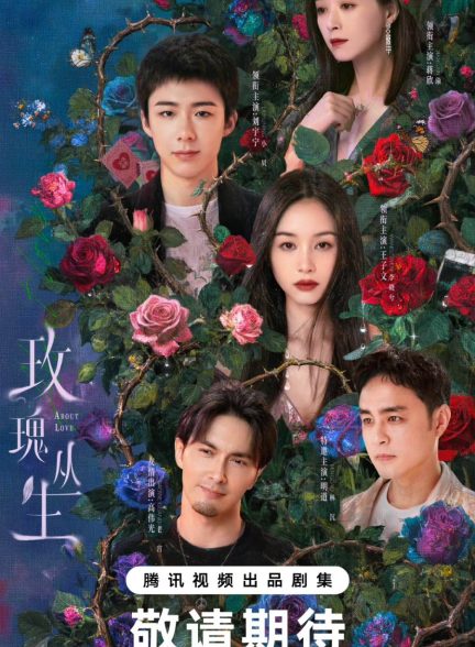 دانلود سریال چینی درباره‌ ی عشق About Love 2026