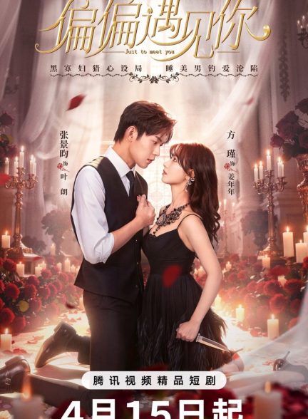 دانلود مینی سریال چینی فقط برای دیدنت Just to Meet You 2026