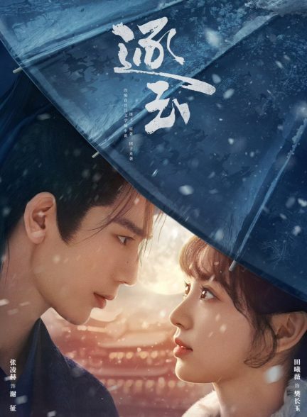 دانلود سریال چینی در جستجوی یشم Pursuit of Jade 2026